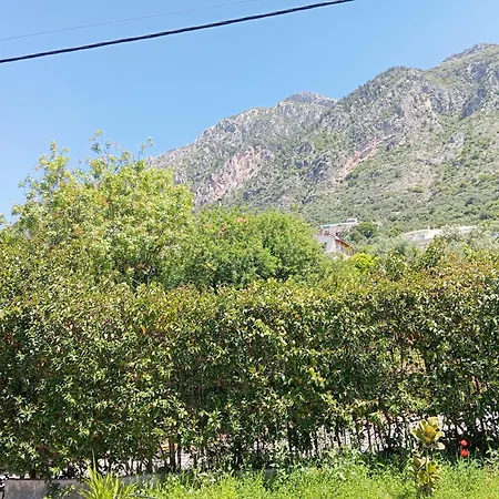 Διαμέρισμα Kokona